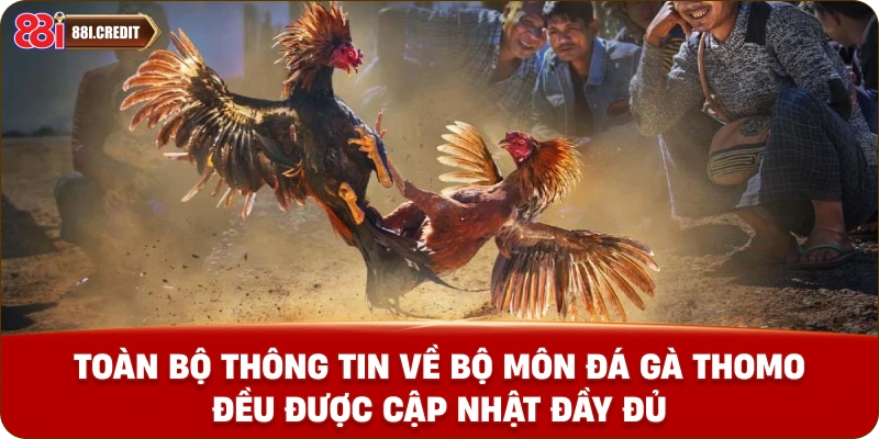 Toàn bộ thông tin về bộ môn đá gà Thomo đều được cập nhật đầy đủ