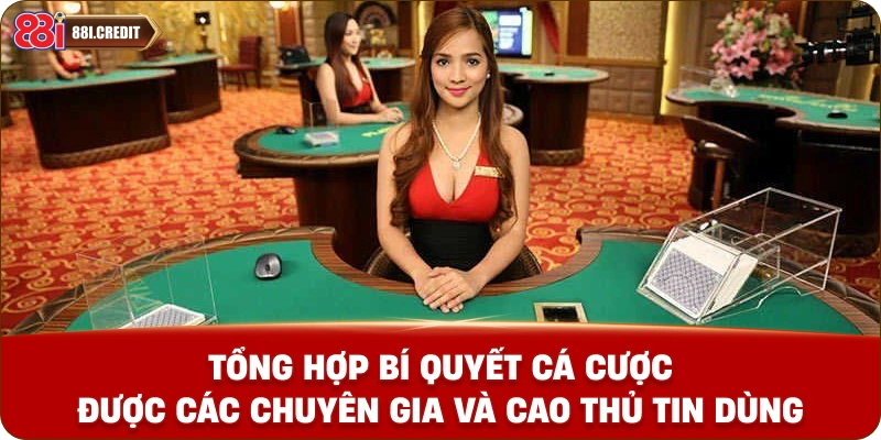 Tổng hợp bí quyết cá cược được các chuyên gia và cao thủ tin dùng